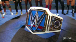 totaldivasepisodes:  Dig that new Women’s Championship for