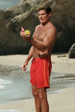 10knotes:  magicisntreal: remember when david hasslehoff was