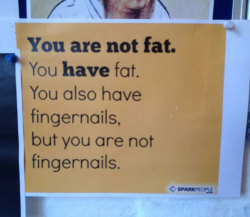 Fat is an adjective and a noun; fingernails is just a noun. This