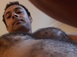 mapo55:  Hola   Hairy sexy man with great looking pecs - WOOF
