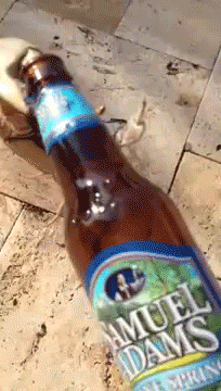 htown-scopesmonkey:  ……Hell,.and I thought I was thirsty!!!