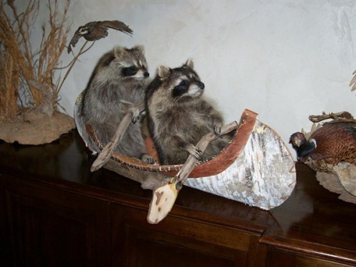 Party time at the Taxidermy Corral