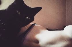 Photobombing. #instacat#instapet#chat#cat#mamadou#blackcat#chatnoir#nombrilisme#nombril#selfie#me#énervante#ventre#photobombing
