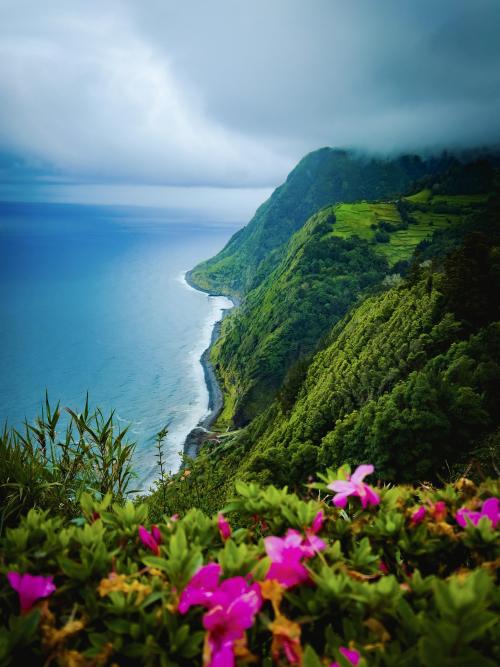 oneshotolive:  Nordeste, São Miguel Island, Azores. [2734x3645]