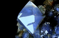 underthescopemin:  Quartz (Var: Blue Quartz) Photo Copyright