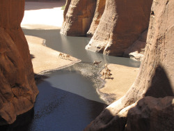 1l1l:Ennedi. Guelta de Archei. Desde el mirador,  escandio  