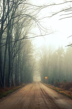 plasmatics:  Desolation by Snellenberger   