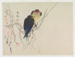 heaveninawildflower:  ‘Two Swallows Perched on Weeping Cherry’