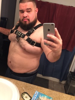 bearded186:  Thought I try on my friends harness..