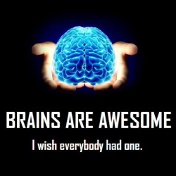 9gag:  Brains are awesome… #tweegram #photooftheday #instamood