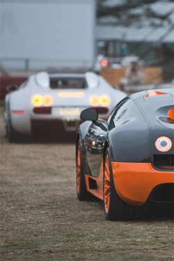 themanliness:  Bugatti Veyron Supersports | Source | More   