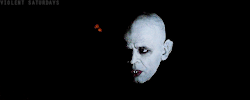 violentsaturdays:  Nosferatu the Vampyre (Nosferatu: Phantom