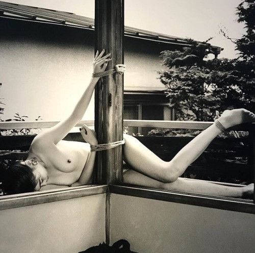 grigiabot:Nobuyoshi Araki