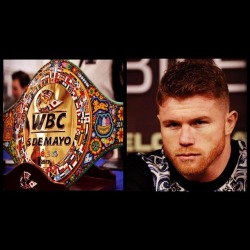 #teamcanelo #mexico #boxing