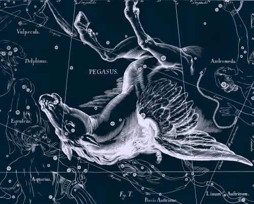 friendly-laser: Johannes Hevelius.Â “Uranographia: totum caelum stellatum."Â 1687. Andromeda, Aquaris, Aquila, Bootes, Cassiopeia, Draco, Pegasus, Orion 