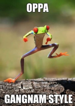 Go froggie go