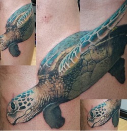 fuckyeahtattoos:  This is my sea turtle, Bill. He is the start
