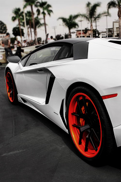 envyavenue:  Lamborghini Newport Beach