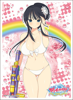 ensky-card-supply:  閃乱カグラ PEACH BEACH SPLASH　キャラクタースリーブEN-605　斑鳩（B）1パック65枚入り　サイズ67×92mm希望小売価格790円＋消費税　JAN