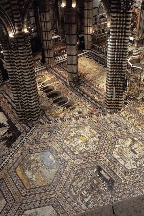 legendary-scholar:  Italy, Siena (Tuscany) - The marvelous floor