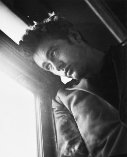 jamesdeaner:  James Dean photographed by Roy Schatt, 1954. 