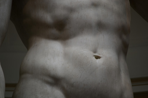 qusarts: Four Meters of Perfection Michelangelo’s David at the School of Belle Arti Museum in Florence, Italy 