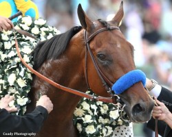 Today American Pharaoh won the triple crown, good for him! You
