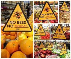 restless-spirit:  m00nchaser:  If bees become extinct we will