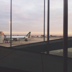 pedrogfr:  FIUMICINO AIRPORT - 12/2013