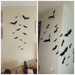 madiz0r:  Getting so spooky in here  #bats #Halloween #so spooky