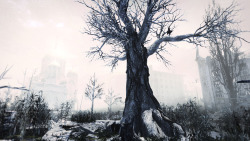 winterdire:  Metro Last Light photoset  Landscape pictures of