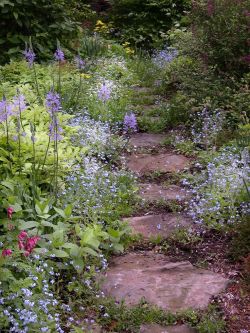 silvaris: Flowery stone path, photo by Dick Conrad  