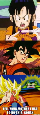 tehpandaxd:  I guess he couldn’t take Gohan’s toddler years