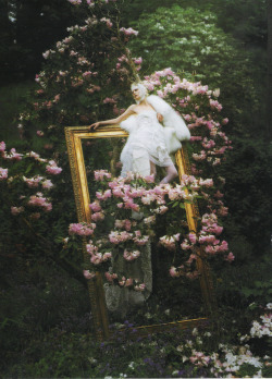    “Portraits of a Lady”Stella Tennant by Tim WalkerVogue