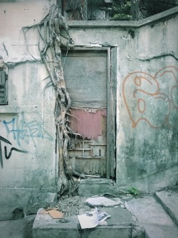 mikasavela:  When trees grow in doorways. 