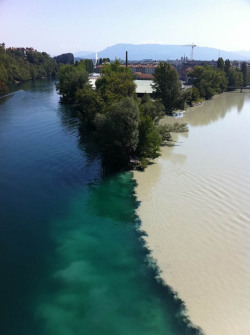 odditiesoflife:  Where Rivers Join These are eight stunning examples