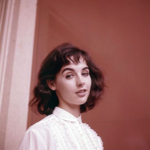 vintageeveryday:  Photos of Millie Perkins in the 1950s and ’60s.