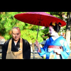 geisha-kai:  November 2014: maiko Mikako met a Buddhist monk