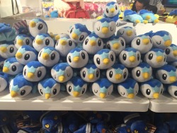 zombiemiki:  Never enough Piplups 
