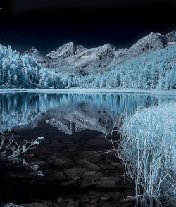 coiour-my-world:Marsh Lake in Infrared by Bill Gracey on Flickr.