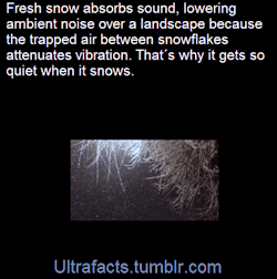 ultrafacts:  When a fresh batch of snow falls to the ground,