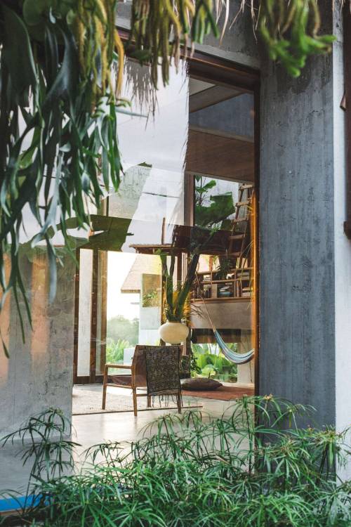 aestheticsof:    Tropical Brutalism: Concrete and Timber Home
