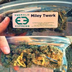 drugsrus:  a-crosstown-deactivated20151019: Miley Cyrus weed