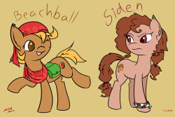 velvety-licks: Beachball (Atryl’s OC) and Siden have swapped