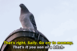 christiekins1:  Dean arguing with a pigeon Loving Sams little