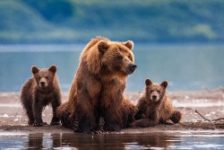 magicalnaturetour:  (via Family portrait in the open air by Sergey