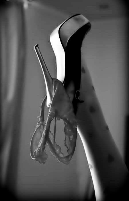 marquis-de-la-rose-noire: