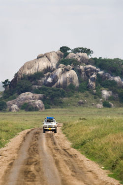 lensblr-network:  Driving out of the serengeti by Ben Horton 