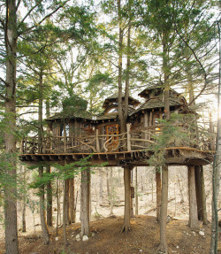 treehauslove:  A Treemansion. Pete Nelson’s creation 25-feet