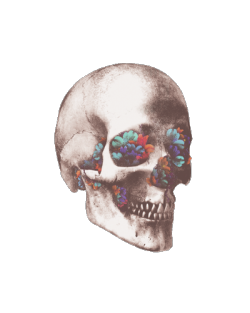 dancinginsomnia:  transparenc-yyyy:  skull #2 my edit  . 